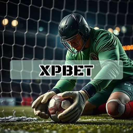 XP bet: Exploração da Seção de Bingo e Informações Valiosas